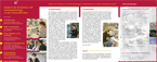Download Flyer Studium Biochemie und Molekularbiologie